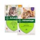 Advantage spot on against fleas in cats